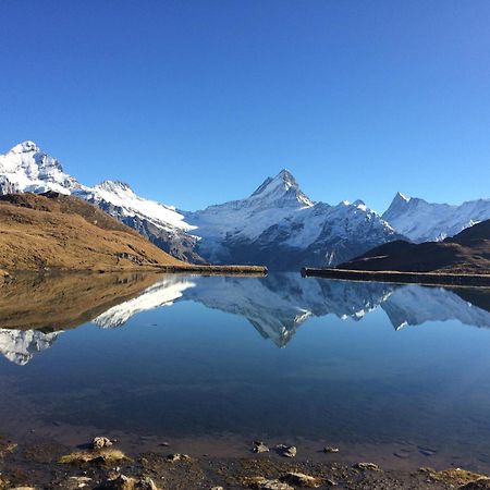 Chalet Verbrunnenhaus Grindelwald公寓 外观 照片