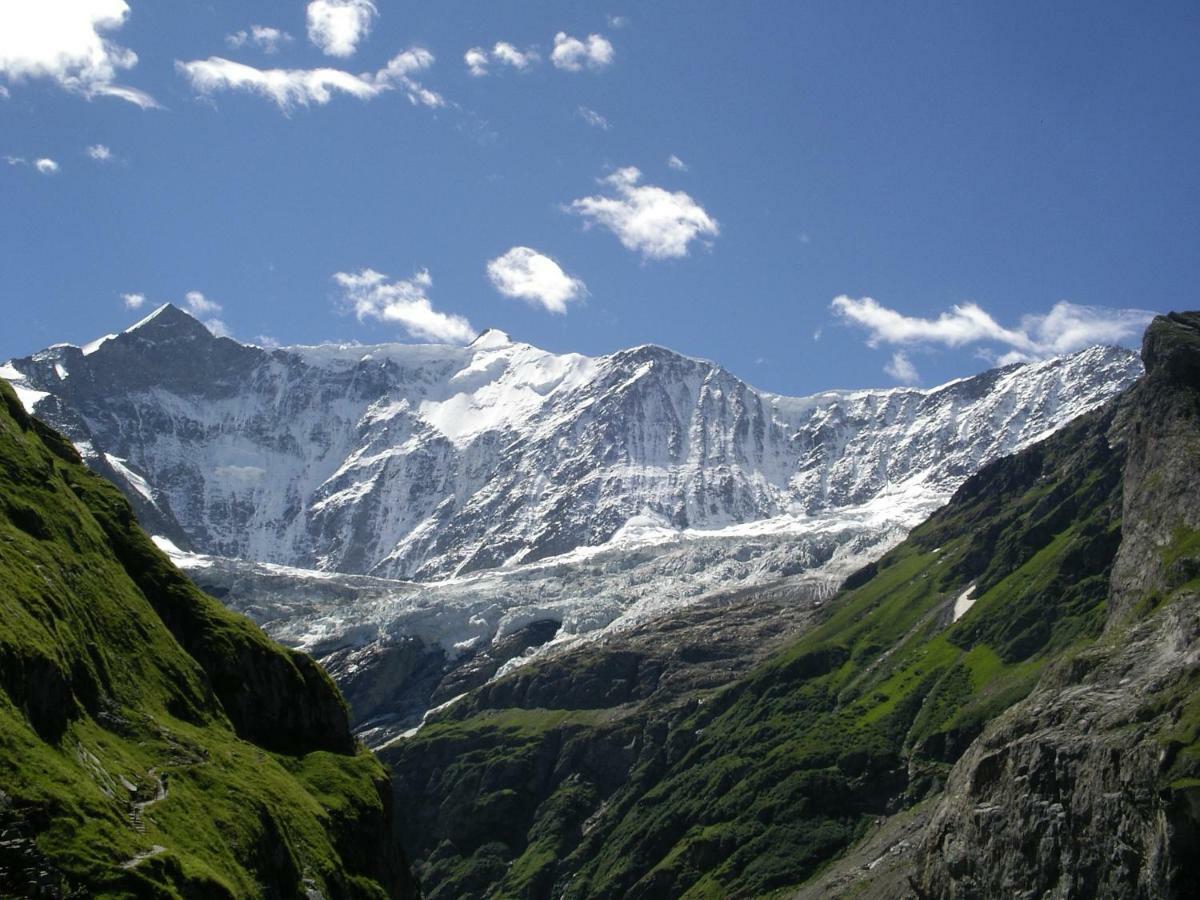 Chalet Verbrunnenhaus Grindelwald公寓 外观 照片