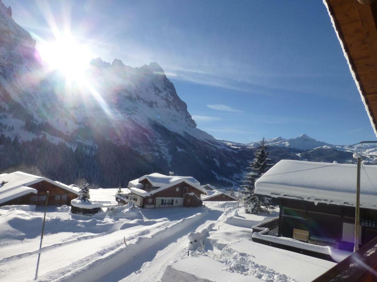 Chalet Verbrunnenhaus 格林德瓦 外观 照片