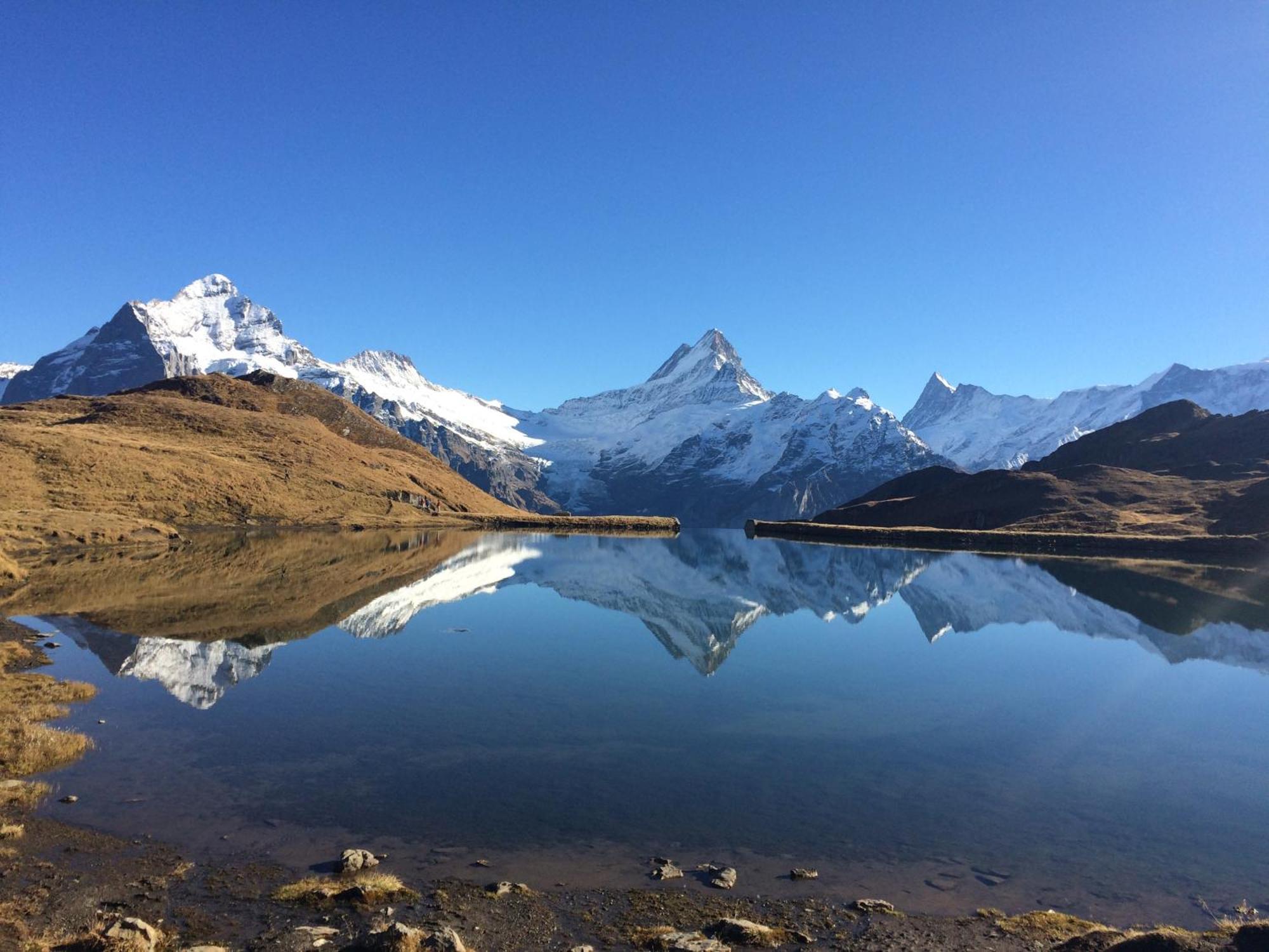 Chalet Verbrunnenhaus Grindelwald公寓 外观 照片