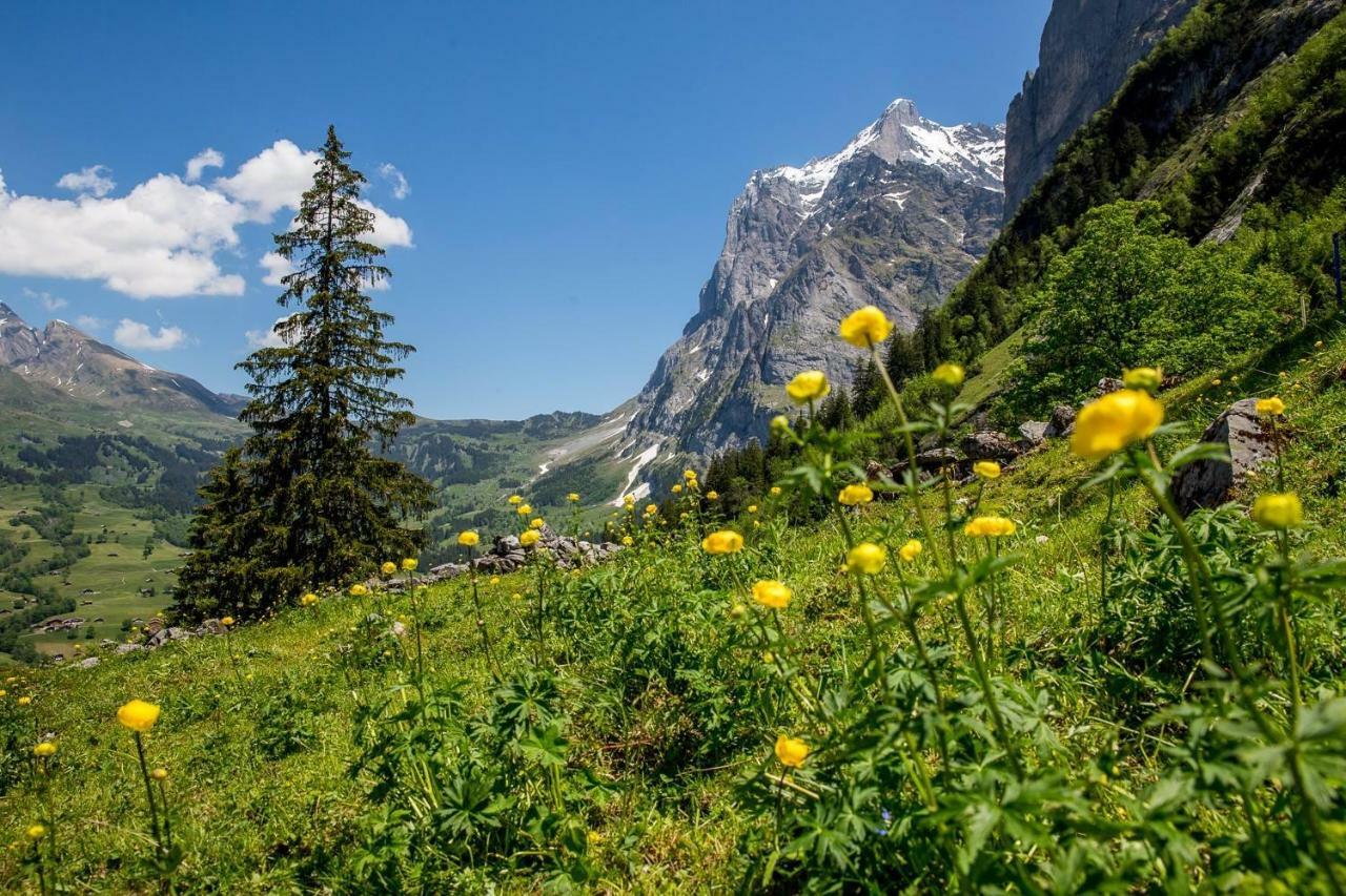Chalet Verbrunnenhaus 格林德瓦 外观 照片