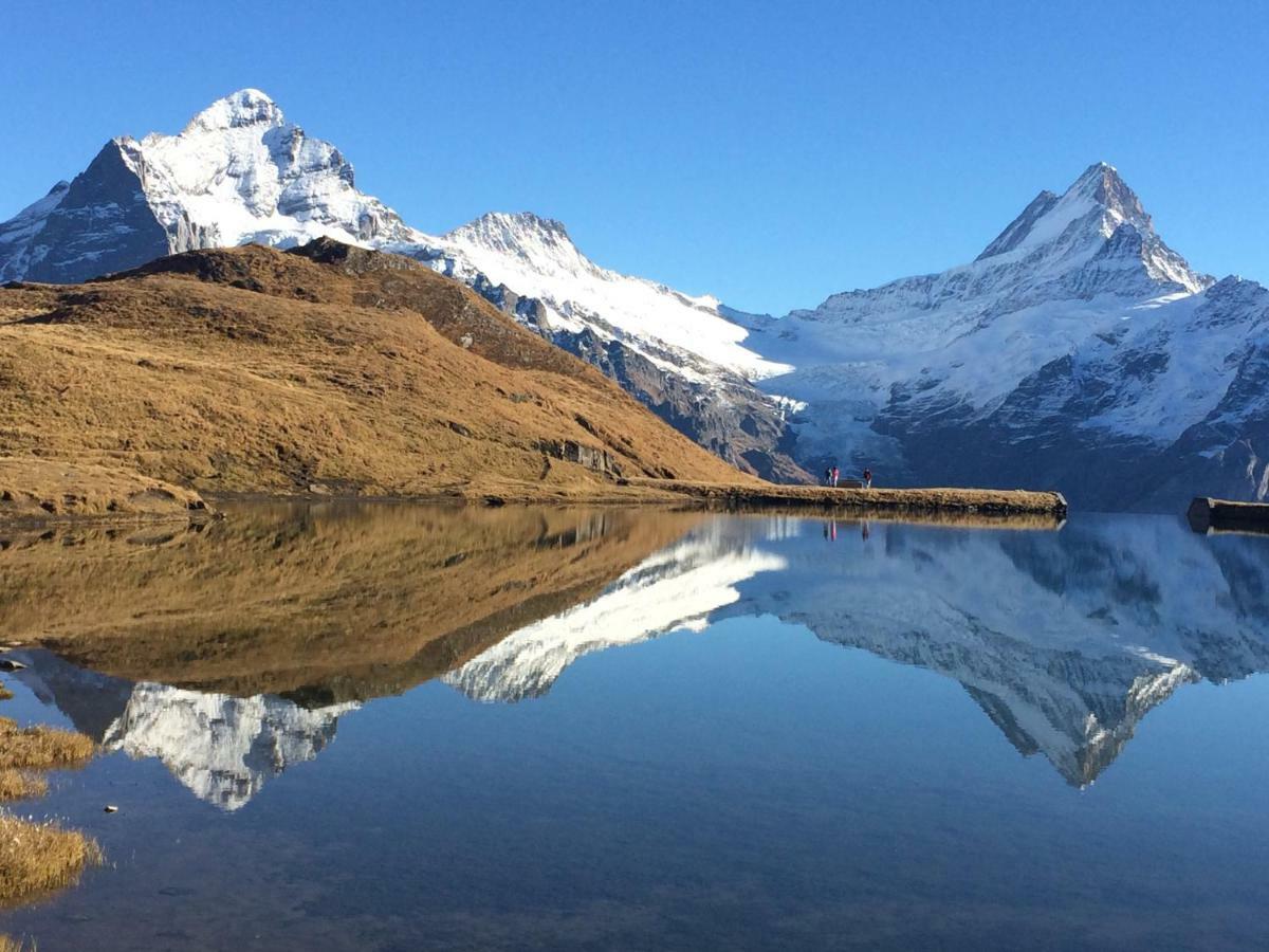 Chalet Verbrunnenhaus Grindelwald公寓 外观 照片