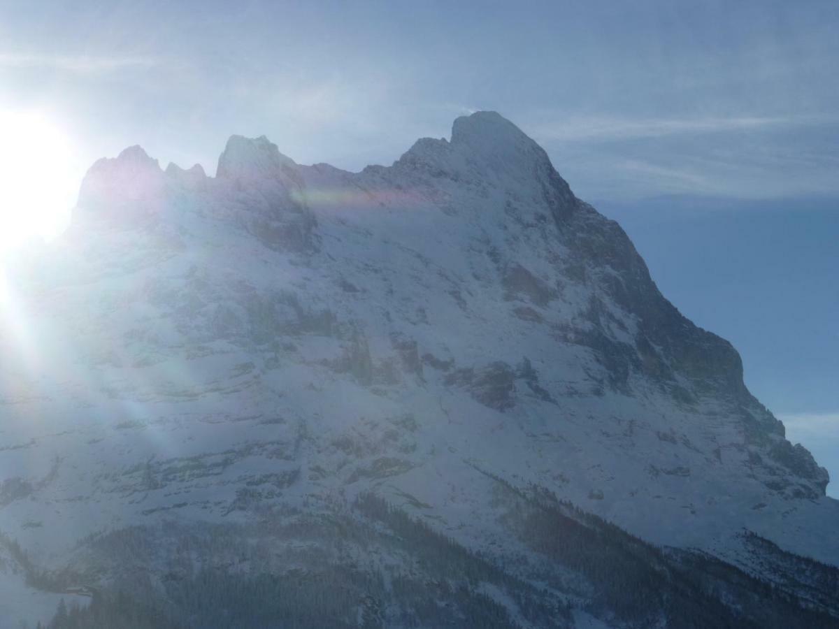 Chalet Verbrunnenhaus Grindelwald公寓 外观 照片